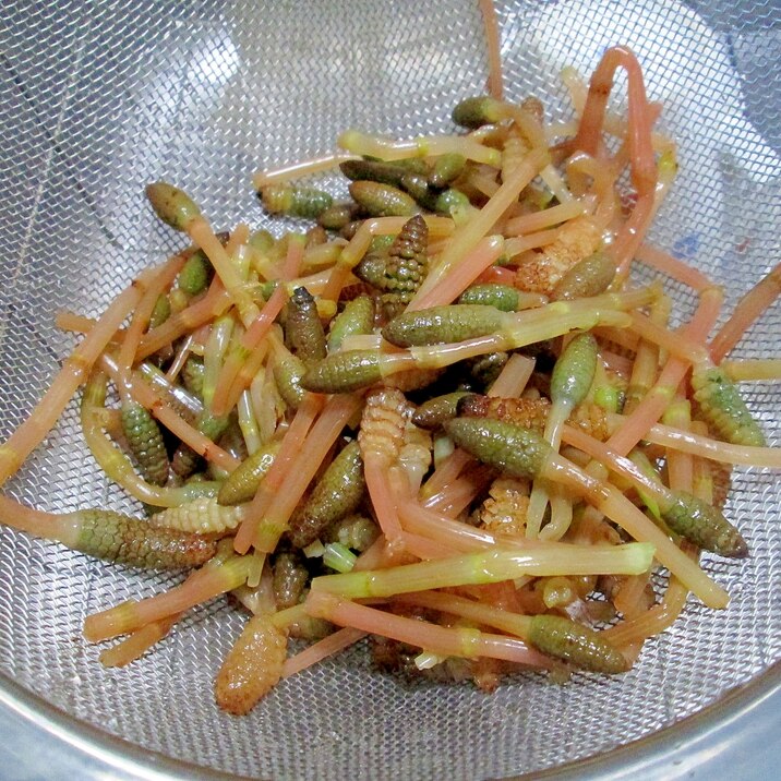 春の香り つくしの下ごしらえ レシピ 作り方 By カゲジジ 楽天レシピ